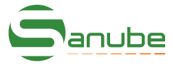 LEDs Feiern Logo